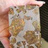 Fukang Pallasite Meteorite