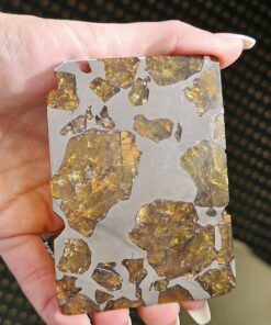 Fukang Pallasite Meteorite