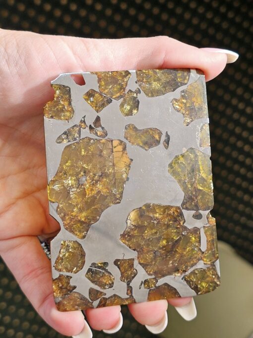 Fukang Pallasite Meteorite