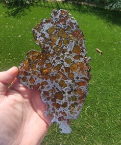 Imilac Pallasite Meteorite