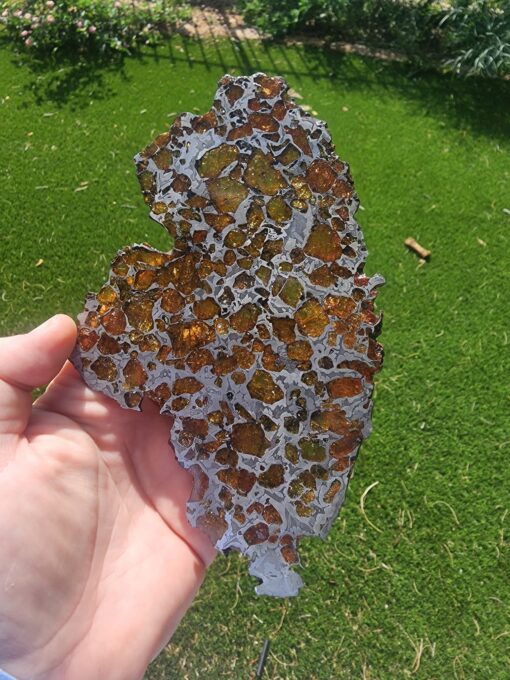 Imilac Pallasite Meteorite