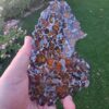 Imilac Pallasite