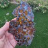 Imilac Pallasite