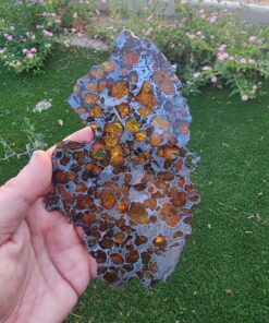 Imilac Pallasite