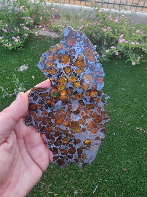 Imilac Pallasite