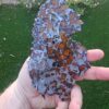 Imilac Pallasite