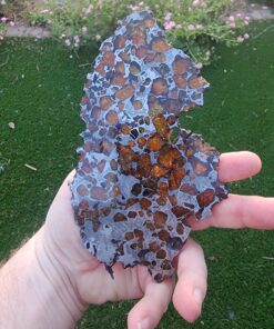 Imilac Pallasite