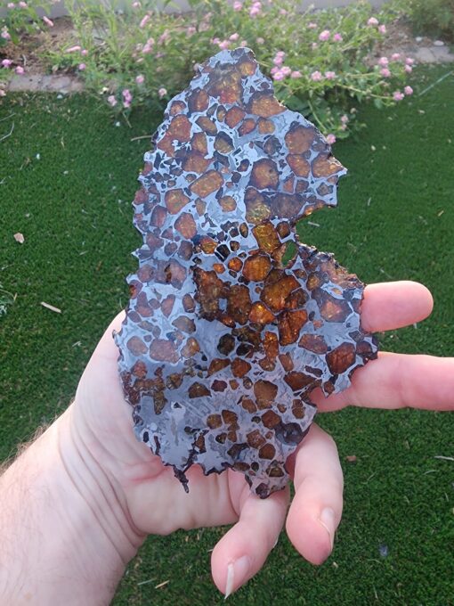 Imilac Pallasite