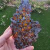 Pallasite Imilac