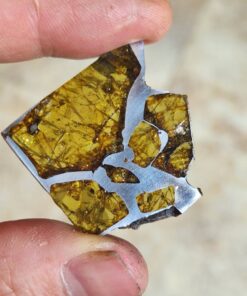 Fukang Pallasite