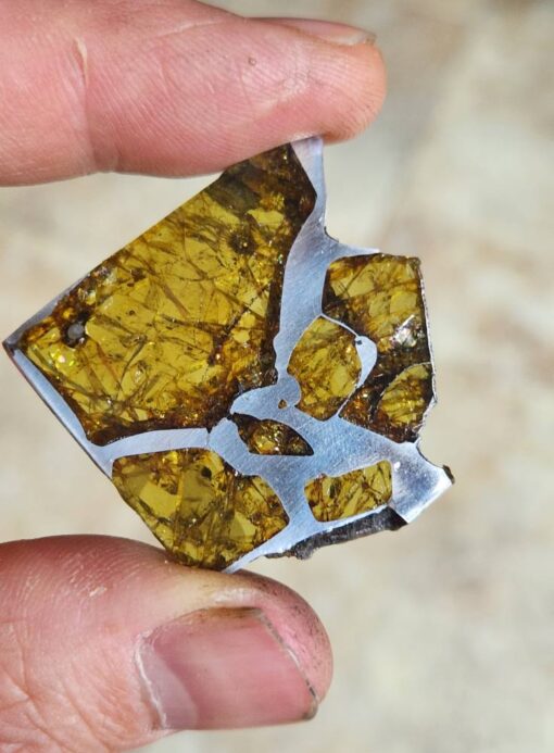 Fukang Pallasite