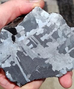 Campo Del Cielo Meteorite