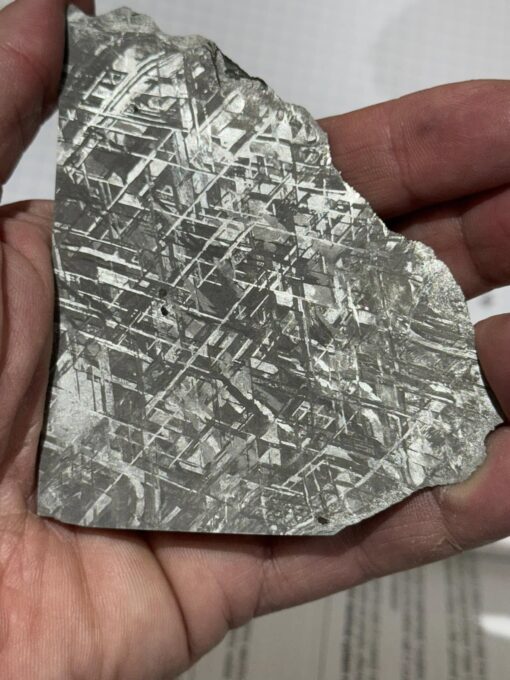 gibeon meteorite