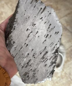 Dronimo Meteorite