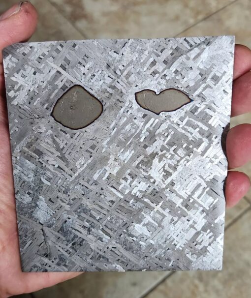 Cape york iron Meteorite