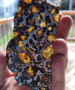 Imilac Pallasite