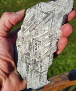Thin Muonionalusta Meteorite