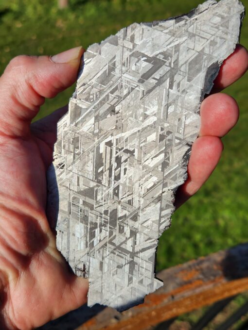 Thin Muonionalusta Meteorite