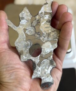 Mundrabilla Meteorite