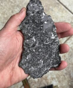 Campo Del Cielo Meteorite