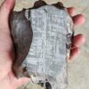 Gibeon Meteorite