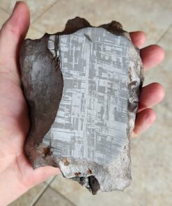 Gibeon Meteorite