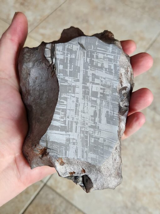 Gibeon Meteorite