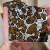 Fukang Pallasite