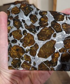 Fukang Pallasite
