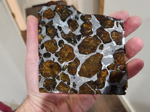Fukang Pallasite