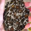 Buy Imilac Pallasite Meteorite 99.3g