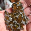 Imilac Pallasite