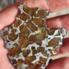 Imilac Pallasite