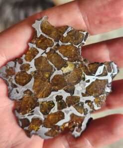 Imilac Pallasite
