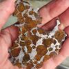 Imilac Pallasite