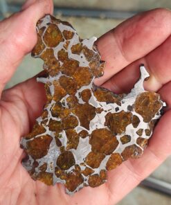 Imilac Pallasite