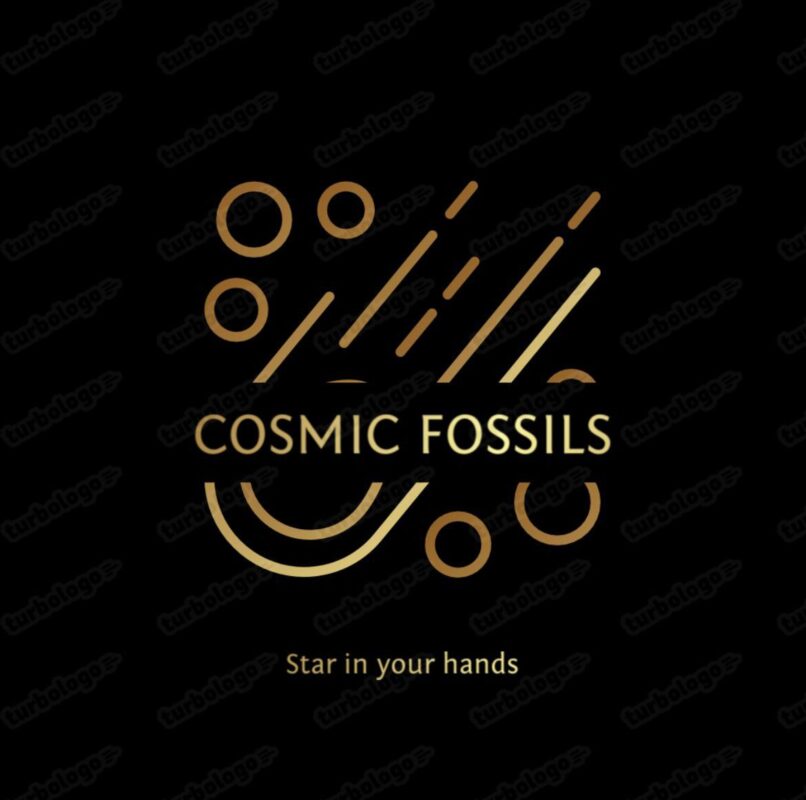 cosmicfossilsusa.com